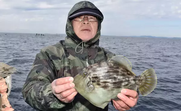 「マダイ・アマダイめでたいリレー船　40cm超アマダイ連発【柾木丸】」の画像