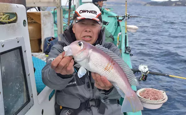 「マダイ・アマダイめでたいリレー船　40cm超アマダイ連発【柾木丸】」の画像