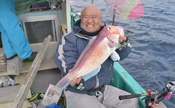 「マダイ・アマダイめでたいリレー船　40cm超アマダイ連発【柾木丸】」の画像