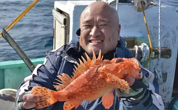 「マダイ・アマダイめでたいリレー船　40cm超アマダイ連発【柾木丸】」の画像