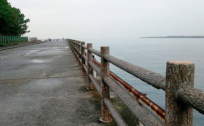 冬の陸っぱり釣り楽し サビキでアジ釣りが好調継続中 大阪 高場 年1月13日 エキサイトニュース