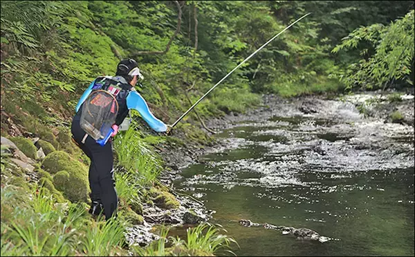 「2020年は新たな釣りに挑戦してみよう：渓流釣りからサーフゲーム編」の画像
