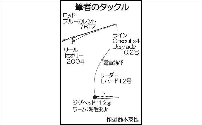 朝マヅメのアジングで26cm頭に本命30尾 メバル入れ食いも 新宮漁港 年1月13日 エキサイトニュース