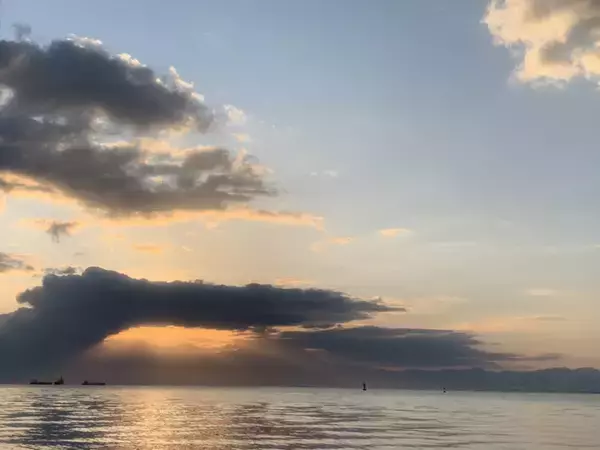 「ショアジギングで55cmサゴシ　100均ジグにヒット【島根・美保湾】」の画像