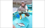 「【三重】イカダ＆海上釣り堀最新釣果　70cm頭にマダイ数の釣りなど」の画像8