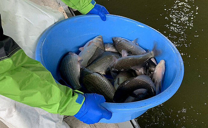 管理池ヘラブナ釣りでなんとか完全試合回避　仕掛け選択ミスで大苦戦