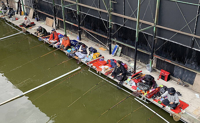 管理池ヘラブナ釣りでなんとか完全試合回避　仕掛け選択ミスで大苦戦