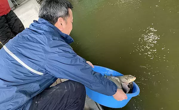 「管理池ヘラブナ釣りでなんとか完全試合回避　仕掛け選択ミスで大苦戦」の画像