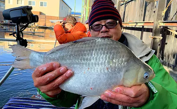 管理池ヘラブナ釣りでなんとか完全試合回避　仕掛け選択ミスで大苦戦