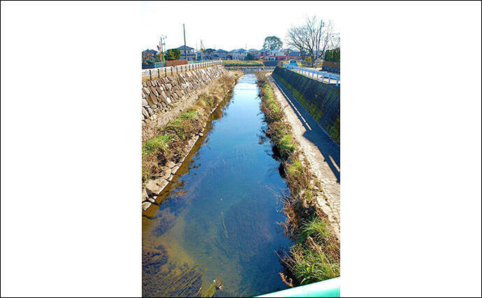 淡水小物釣りでヤマベ38尾にハヤ8尾 魚影の濃さに驚愕 行屋川 年1月16日 エキサイトニュース