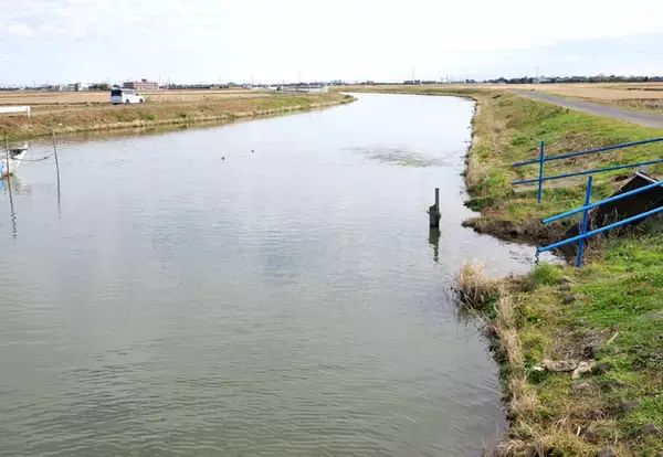 「今週のヘラブナ推薦釣り場【千葉県・長島新堀】」の画像