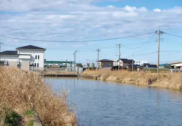 「今週のヘラブナ推薦釣り場【千葉県・長島新堀】」の画像
