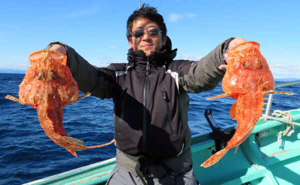 三重県 イカダ 沖釣り最新釣果 43cm頭にオニカサゴ23匹 年1月22日 エキサイトニュース