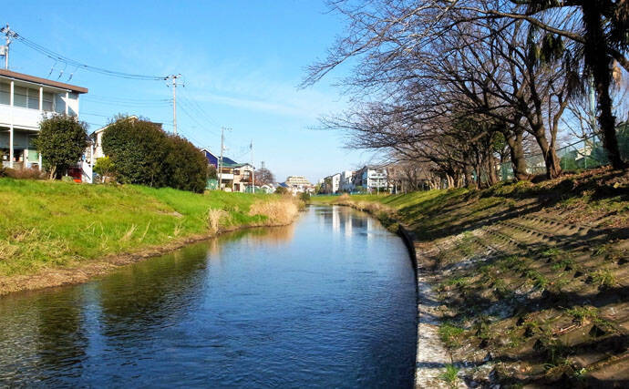 真冬でも手軽に楽しめる『清流小物釣り』でアブラハヤ30尾超【黒目川】