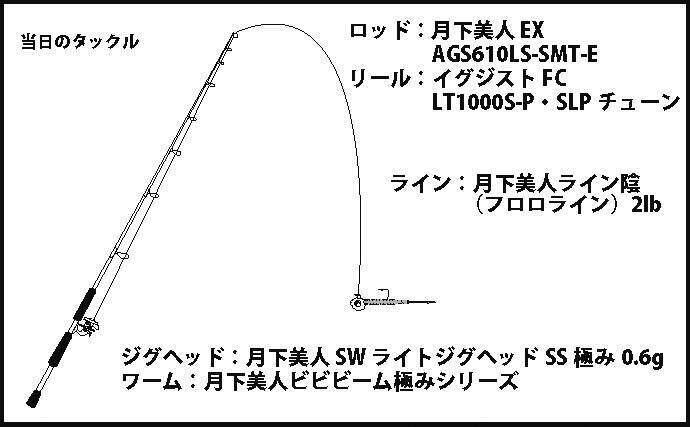 メバリングで25cm級メバル 潮流と産卵行動の予想が的中 須磨浦漁港 年1月28日 エキサイトニュース