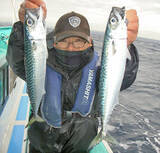 「冬の勝浦沖でリレー船　寒サバ32尾にスルメ＆ヤリイカ28尾【喜美丸】」の画像3