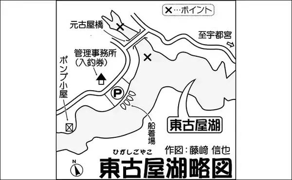 「数少ない解禁中フィールド『東古屋湖』で61cm頭ニジマス14尾【栃木】」の画像