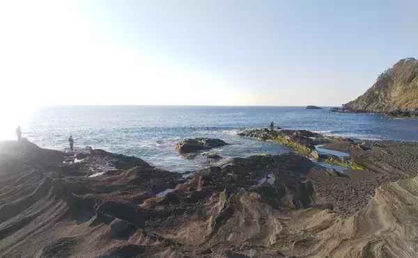 「フカセ釣りで41cm頭にメジナ連発　全遊動仕掛けがアタリ【南ケイセン】」の画像