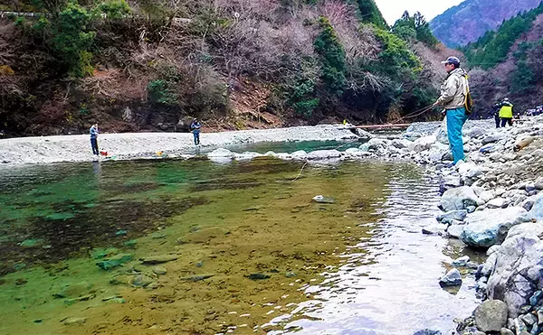 「リニューアルした管理釣り場「リヴァスポット早戸」でニジマスが連発」の画像