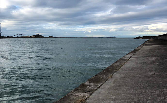 真冬の紀ノ川チヌは強引が魅力　フカセ釣りのつけエサはコーンがアタリ