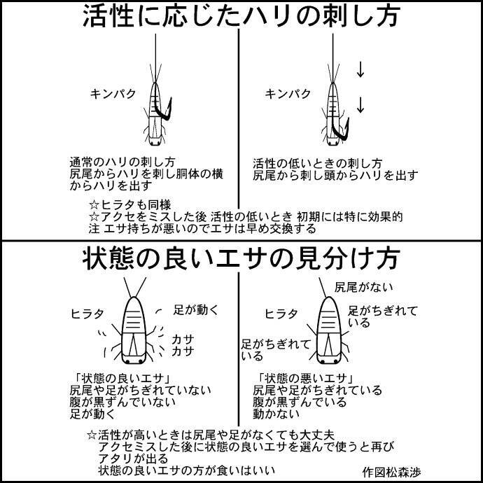 東海春 いよいよ渓流解禁 アマゴとヤマメ狙いエサ釣りのキホン 年2月7日 エキサイトニュース