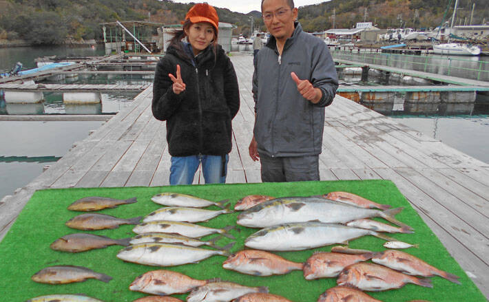 ユニーク海上 釣堀 青物 テクニック すべての魚の画像