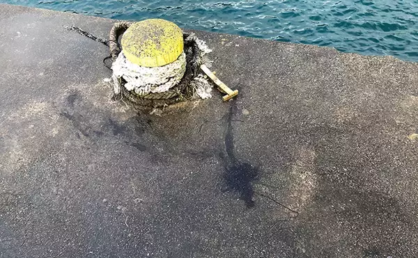 「日本海ヤリイカエギング　軟体生物ヒットするもタコ【京都・養老漁港】」の画像