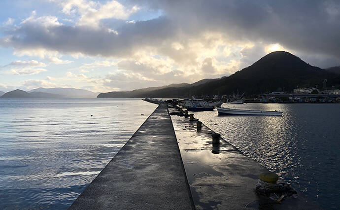 日本海ヤリイカエギング　軟体生物ヒットするもタコ【京都・養老漁港】