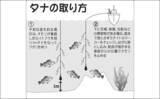 「【茨城沖2020】春告魚『オキメバル』釣りキホン解説　群れ固まると好機」の画像4