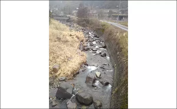 「本日渓流解禁の『長良川郡上漁協管内』メイン釣り場７選【岐阜県】」の画像