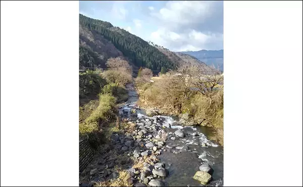 「本日渓流解禁の『長良川郡上漁協管内』メイン釣り場７選【岐阜県】」の画像