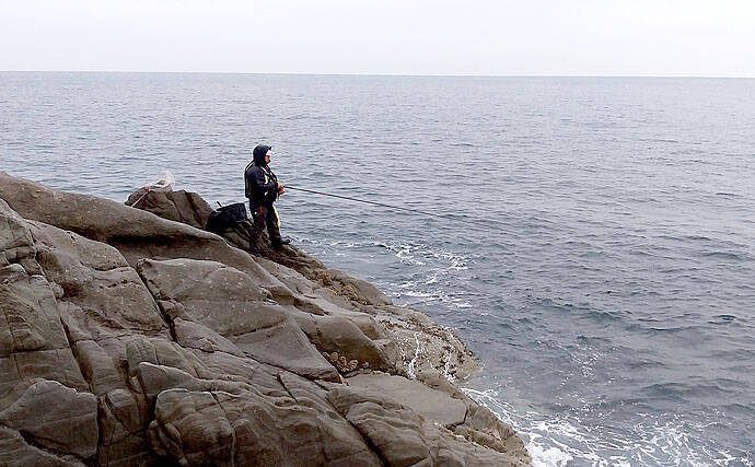 磯フカセ釣り大会で食い渋りの中40cm超え本命グレを手中 徳島 伊島 年2月11日 エキサイトニュース