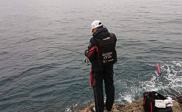 厳冬期の小アタリが寒グレ釣りの醍醐味 37cm頭に12尾 すさみ 年2月12日 エキサイトニュース