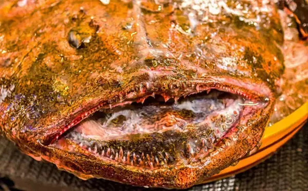 「管理栄養士が教える『免疫力』を高めるサカナ5選　ウイルス感染予防にも」の画像