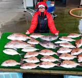 「【三重県】海上釣り堀最新釣果　高水温でサカナ活性アップの好機到来」の画像6