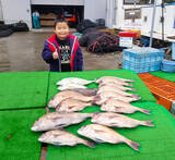 「【三重県】海上釣り堀最新釣果　高水温でサカナ活性アップの好機到来」の画像3