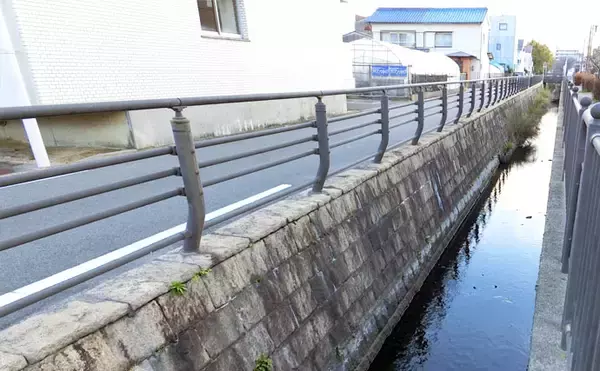 「都市河川で『食パン』エサに54cmナマズ　コイなど4魚種手中【愛知】」の画像