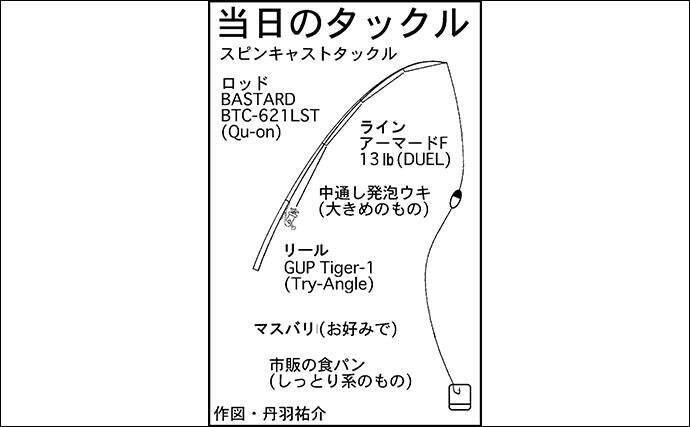 都市河川で 食パン エサに54cmナマズ コイなど4魚種手中 愛知 年2月14日 エキサイトニュース