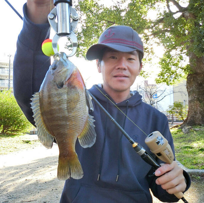 都市河川で 食パン エサに54cmナマズ コイなど4魚種手中 愛知 年2月14日 エキサイトニュース