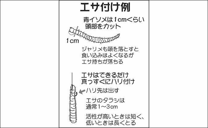 東京湾冬 絶好調の 船シロギス 釣り初心者入門 目指せ100尾 年2月14日 エキサイトニュース