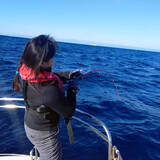 「人気急上昇中『トンジギ』で13.6kgビンナガ　マグロ強引と真剣勝負」の画像5