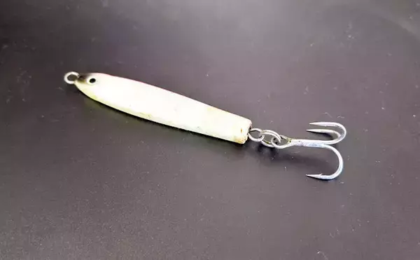 「冬の波止リレー釣行満喫　コウイカエギング＆サゴシジギング【清水港】」の画像