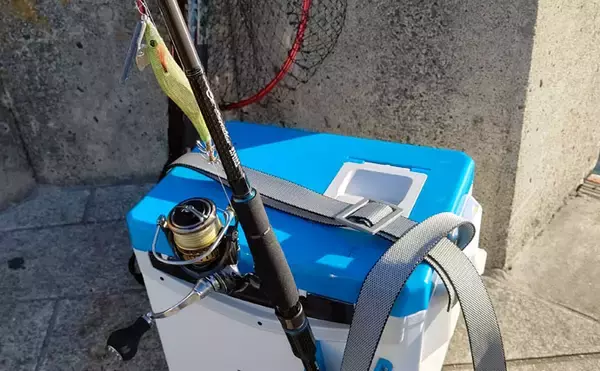 「冬の波止リレー釣行満喫　コウイカエギング＆サゴシジギング【清水港】」の画像