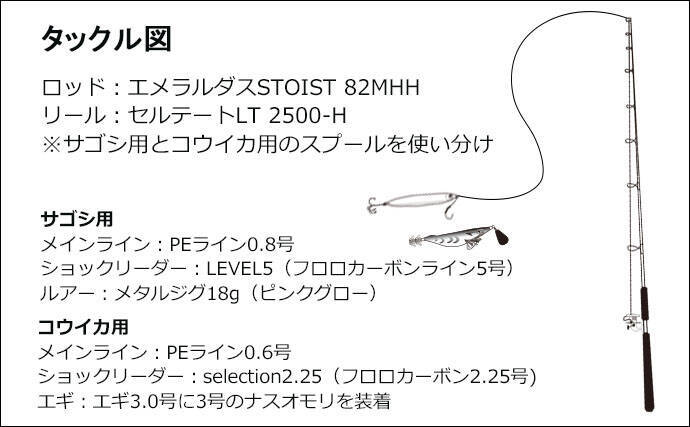 冬の波止リレー釣行満喫 コウイカエギング サゴシジギング 清水港 年2月17日 エキサイトニュース