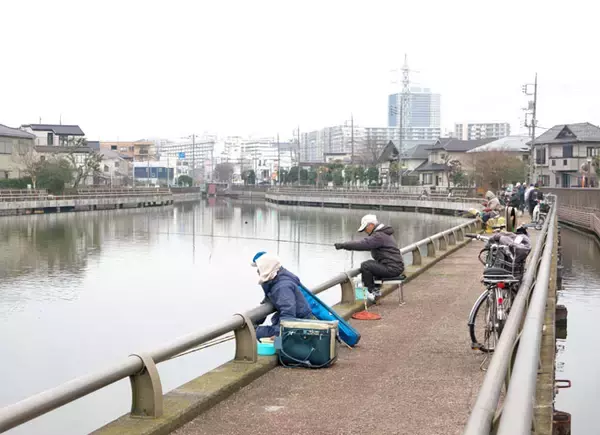 「今週のヘラブナ推薦釣り場【東京都・水元公園内溜】」の画像