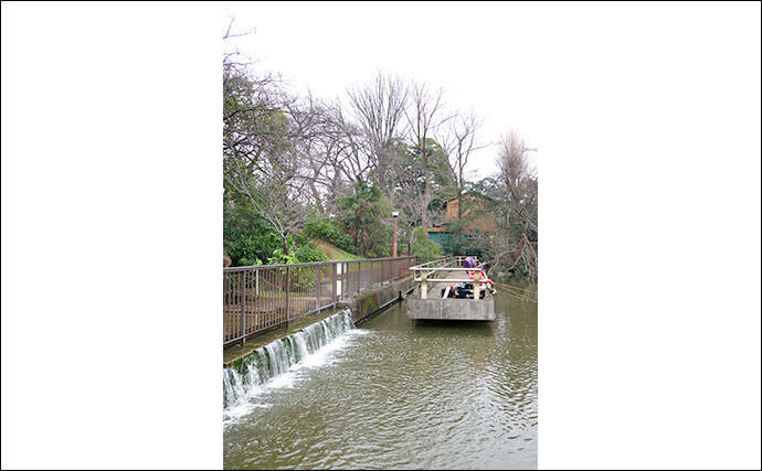 今週のヘラブナ推薦釣り場【東京都・水元公園内溜】