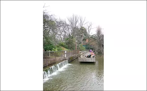 「今週のヘラブナ推薦釣り場【東京都・水元公園内溜】」の画像