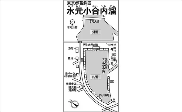 「今週のヘラブナ推薦釣り場【東京都・水元公園内溜】」の画像