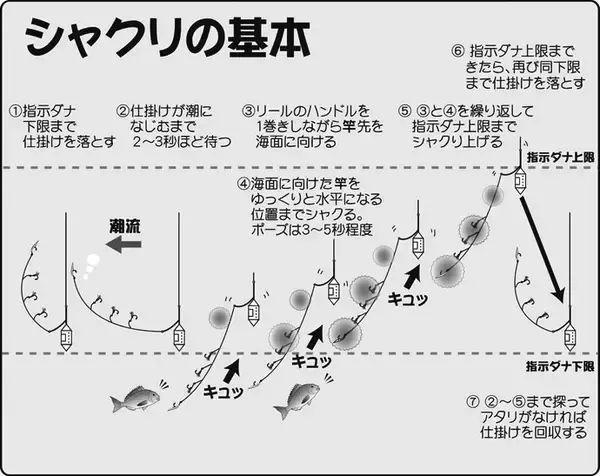「【外房2020春】『コマセハナダイ』釣りキホン　船釣り入門者にオススメ」の画像