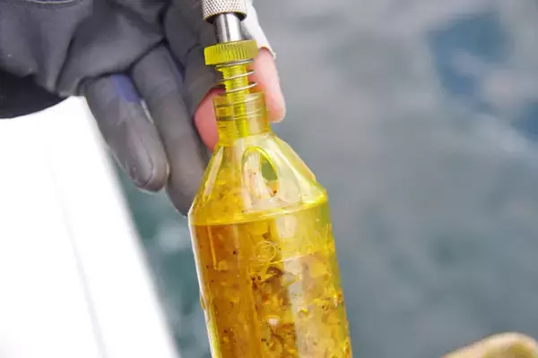 「【外房2020春】『コマセハナダイ』釣りキホン　船釣り入門者にオススメ」の画像